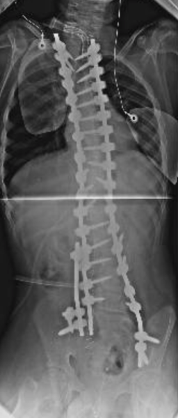 Schermata 2018-10-07 alle 22.30.15