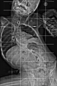 Schermata 2018-10-07 alle 22.31.01