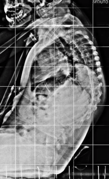 Schermata 2018-10-07 alle 22.31.16